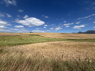 Südafrika Bikereise Aussicht Felder