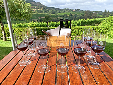 Wine Tasting Südafrika Bikereise