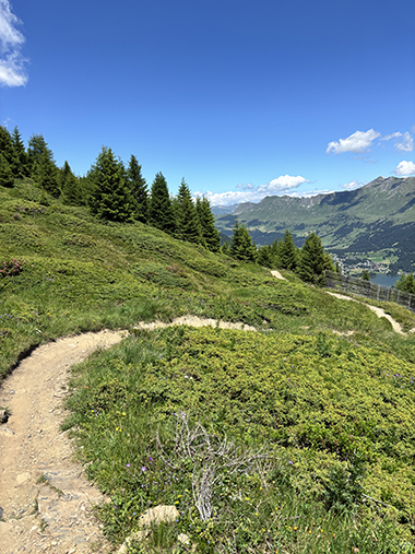 Bikecamp Lenzerheide