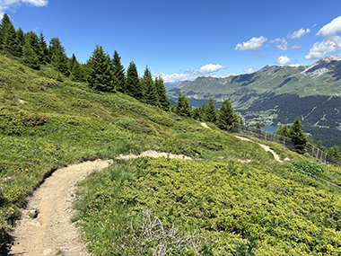 Camp Lenzerheide Biketrail