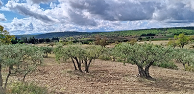 Cravelcamp Provence Weitsicht