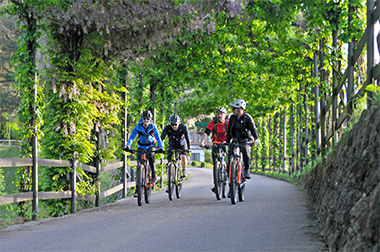 Mountainbike Fahrtechnik-Kurs